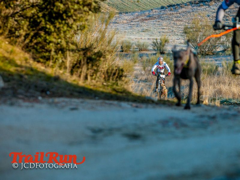 Campeonato de España de Mushing 2017