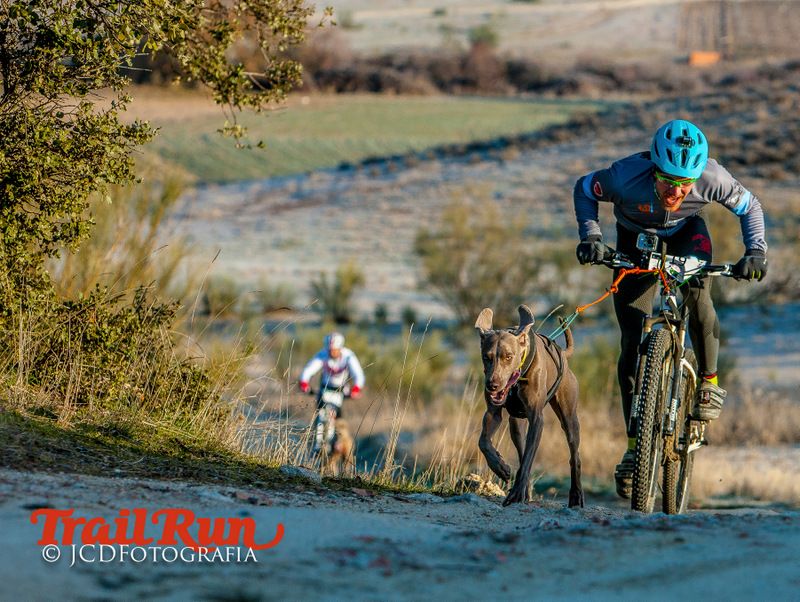 Campeonato de España de Mushing 2017