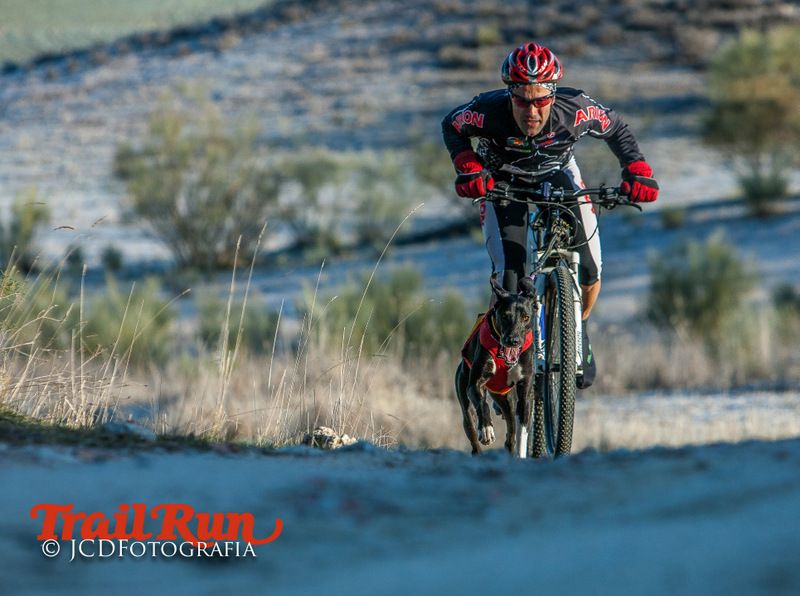 Campeonato de España de Mushing 2017
