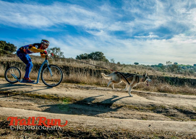Campeonato de España de Mushing 2017
