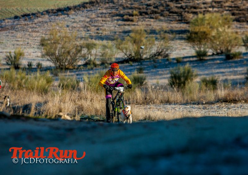 Campeonato de España de Mushing 2017