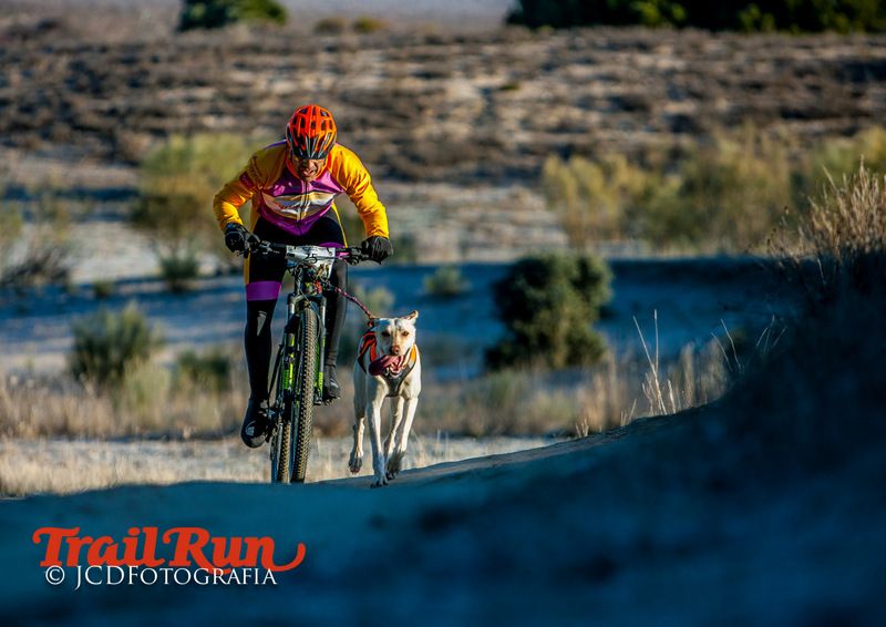 Campeonato de España de Mushing 2017