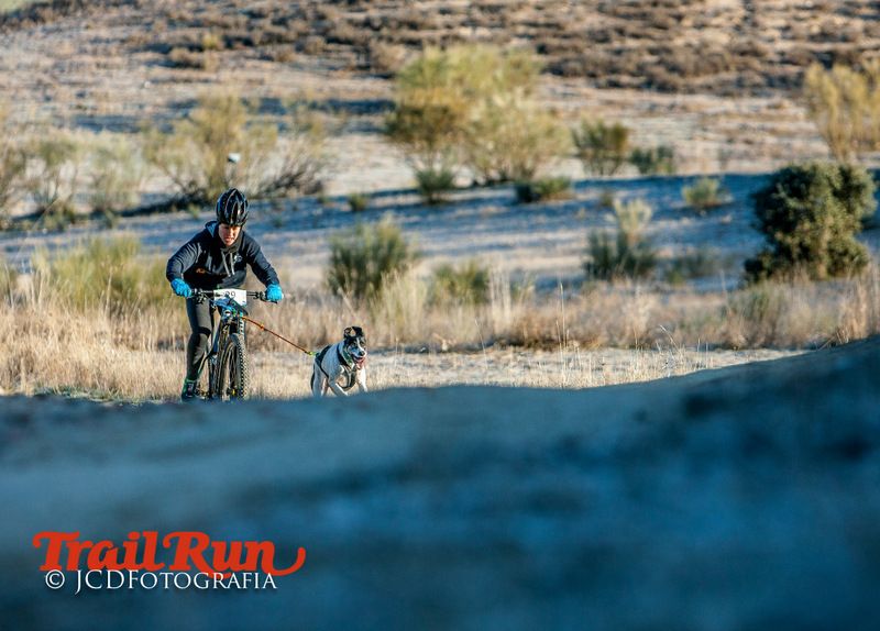 Campeonato de España de Mushing 2017