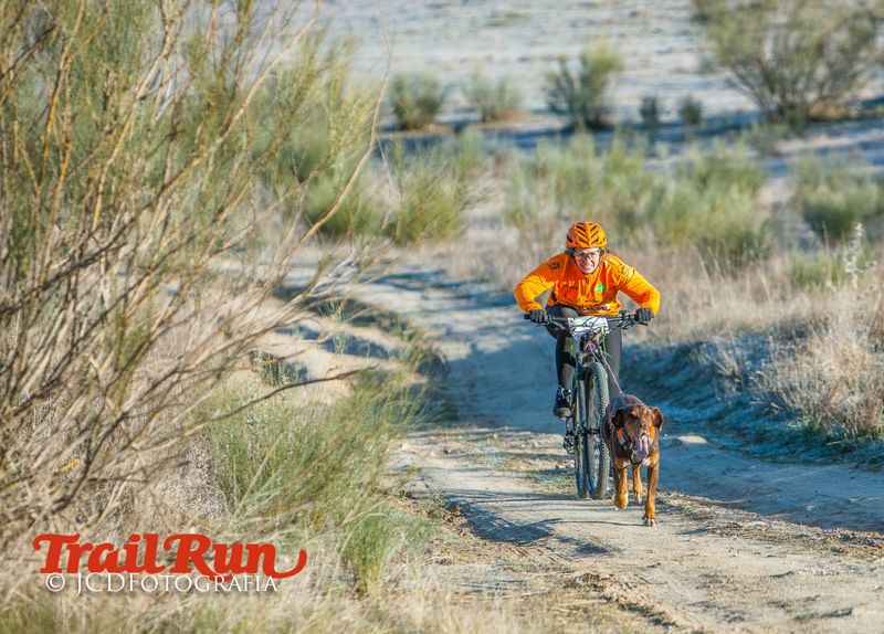 Campeonato de España de Mushing 2017