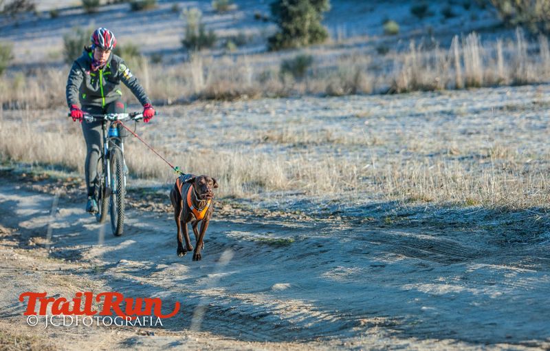 Campeonato de España de Mushing 2017