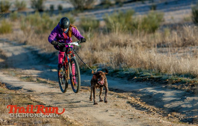 Campeonato de España de Mushing 2017