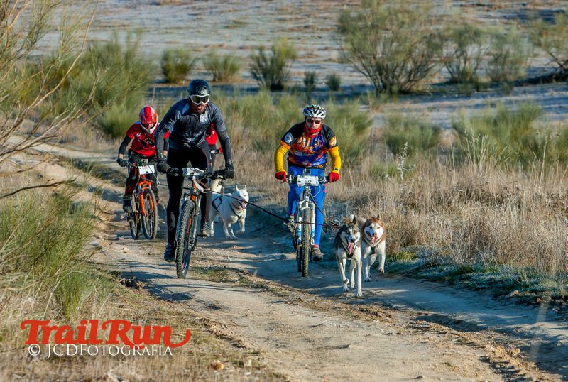 Campeonato de España de Mushing 2017