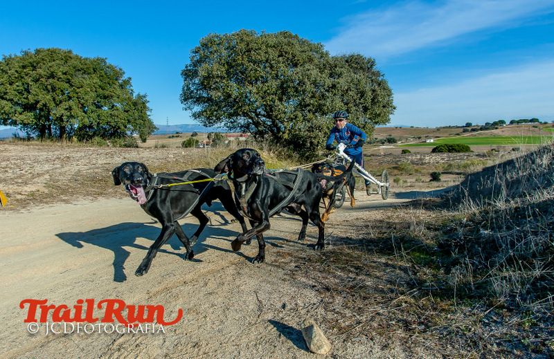 Campeonato de España de Mushing 2017