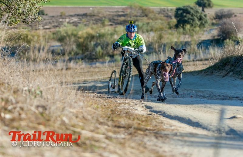 Campeonato de España de Mushing 2017