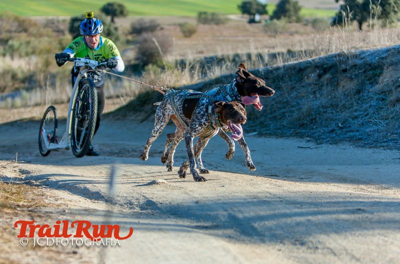 Campeonato de España de Mushing 2017