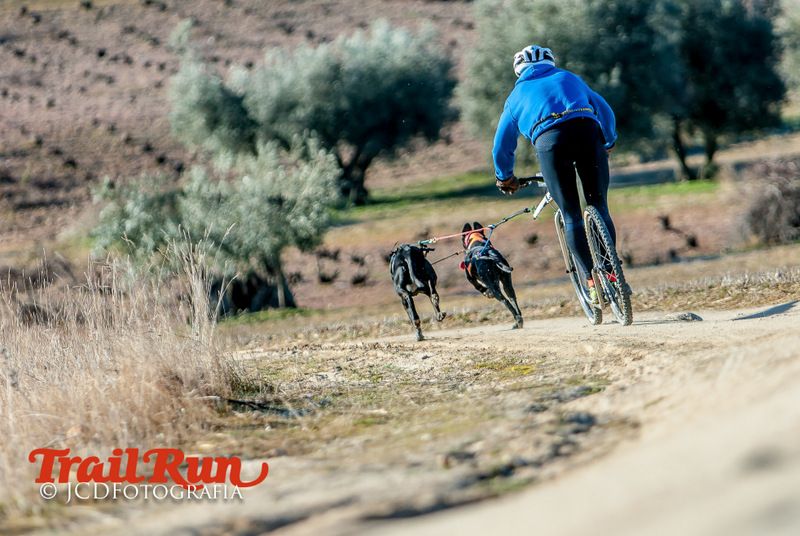 Campeonato de España de Mushing 2017