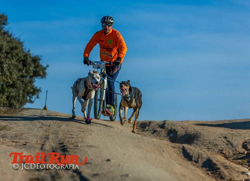 Campeonato de España de Mushing 2017