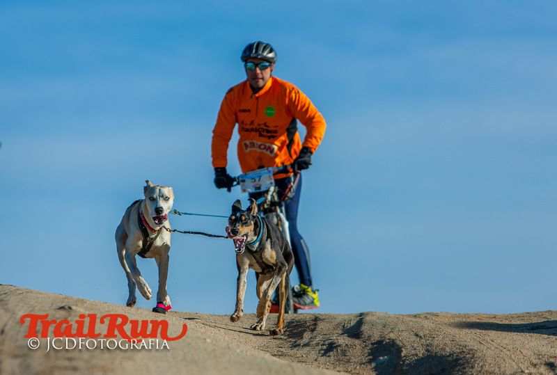 Campeonato de España de Mushing 2017