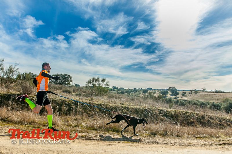 Campeonato de España de Mushing 2017