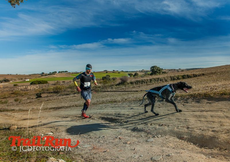 Campeonato de España de Mushing 2017