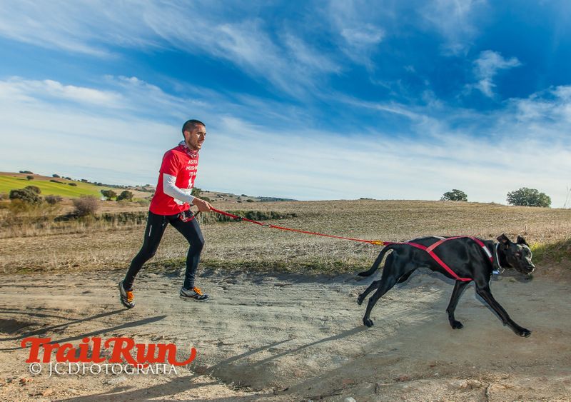 Campeonato de España de Mushing 2017