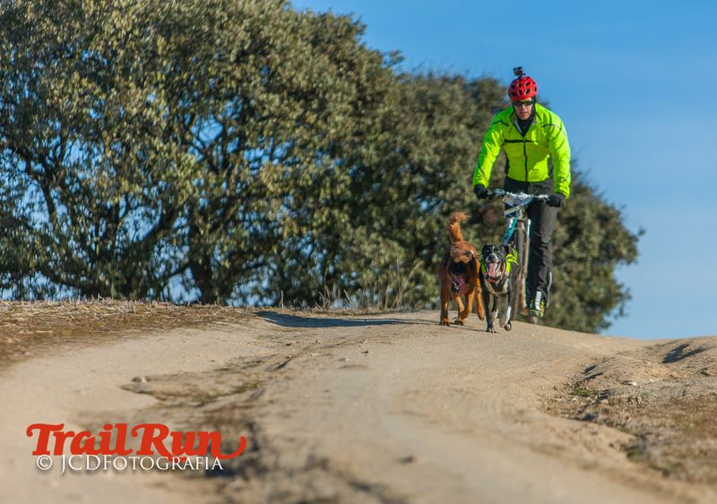 Campeonato de España de Mushing 2017