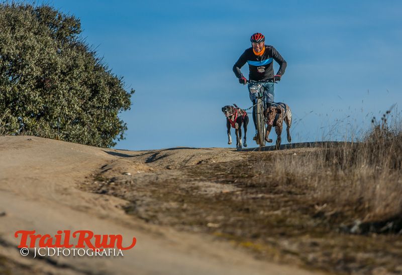 Campeonato de España de Mushing 2017