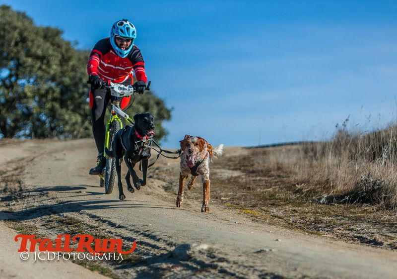 Campeonato de España de Mushing 2017