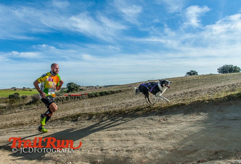 Campeonato de España de Mushing 2017