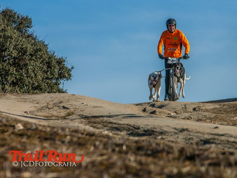 Campeonato de España de Mushing 2017