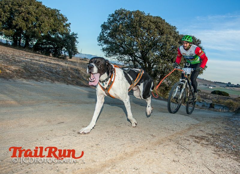 Campeonato de España de Mushing 2017