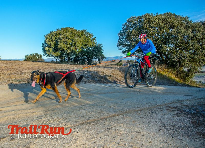 Campeonato de España de Mushing 2017