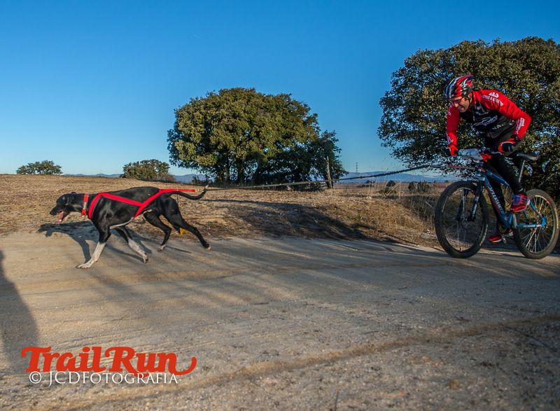 Campeonato de España de Mushing 2017