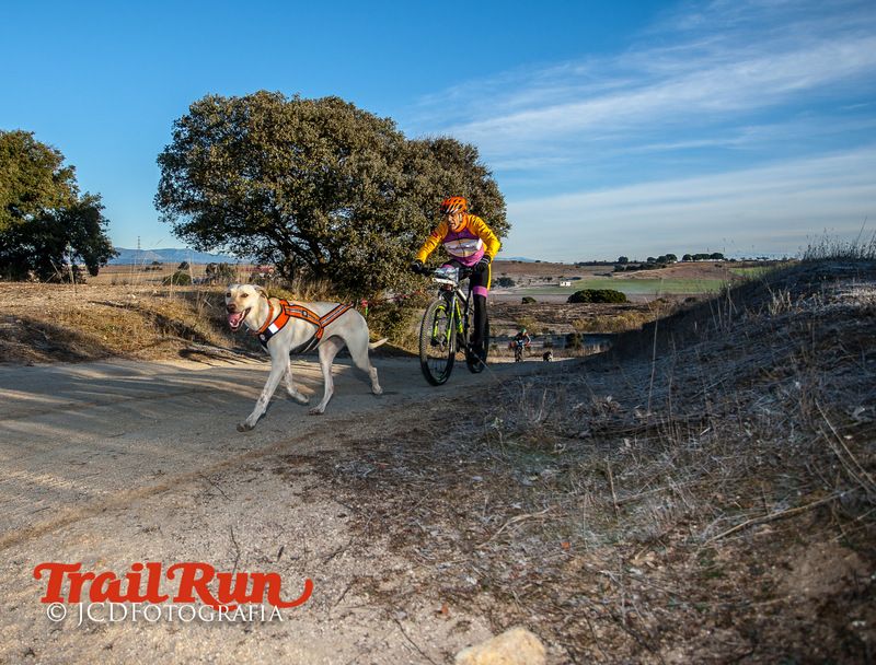 Campeonato de España de Mushing 2017