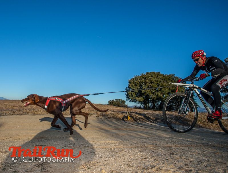 Campeonato de España de Mushing 2017