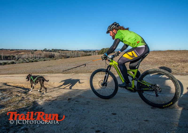 Campeonato de España de Mushing 2017