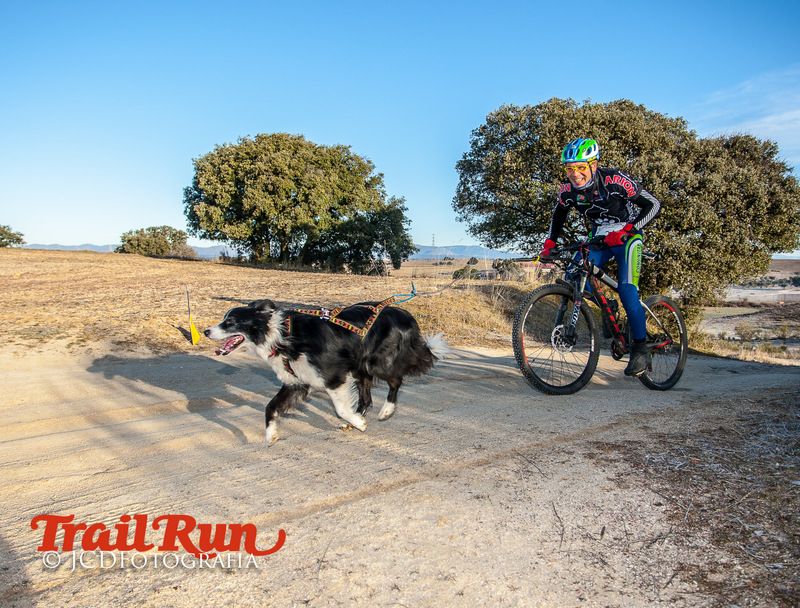 Campeonato de España de Mushing 2017