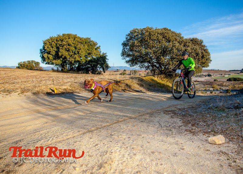 Campeonato de España de Mushing 2017