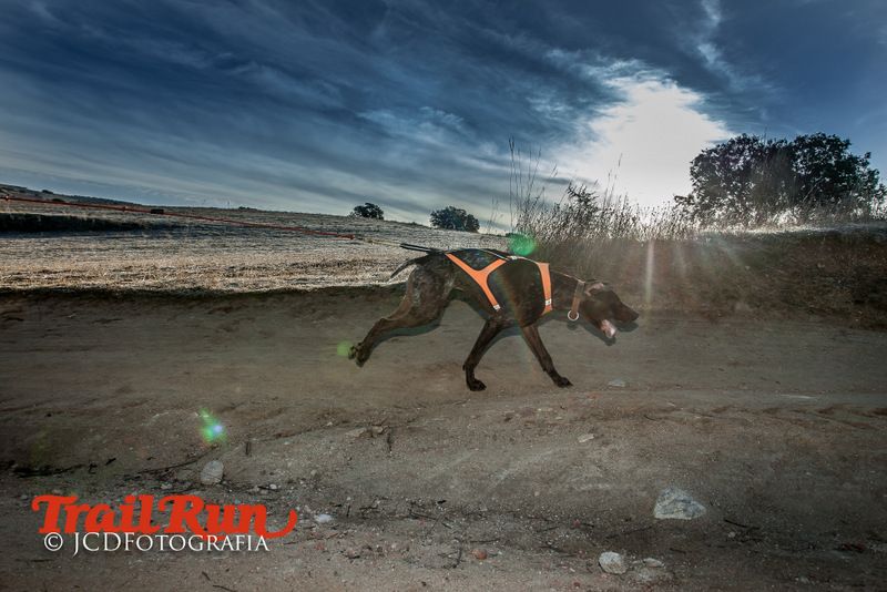 Campeonato de España de Mushing 2017