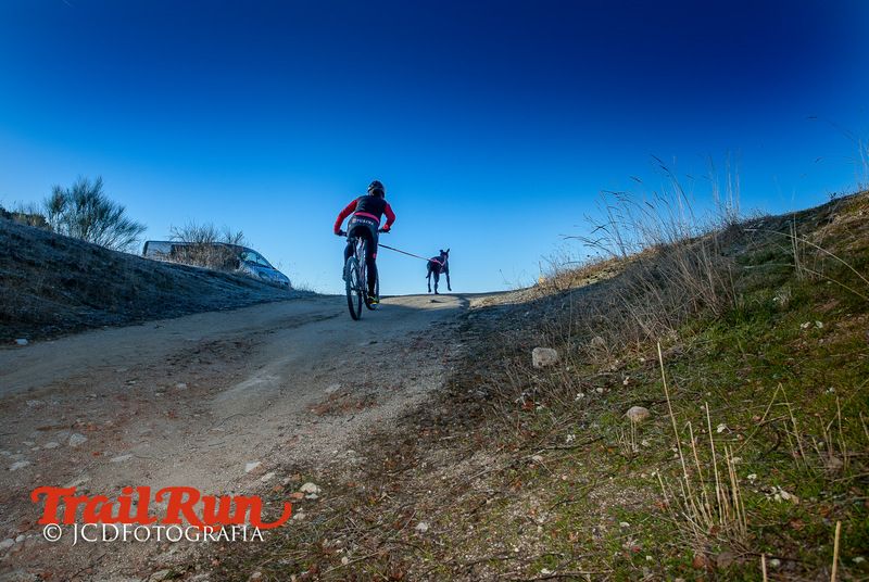 Campeonato de España de Mushing 2017