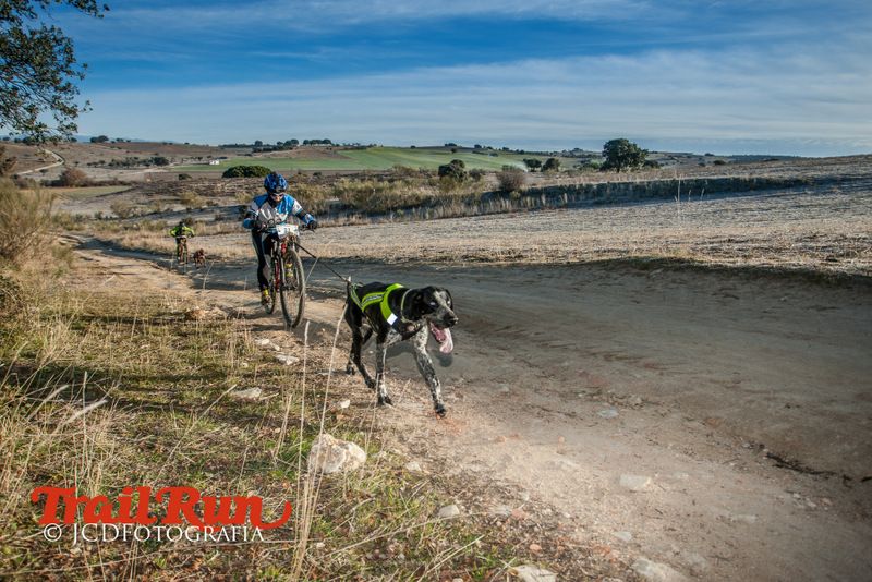 Campeonato de España de Mushing 2017
