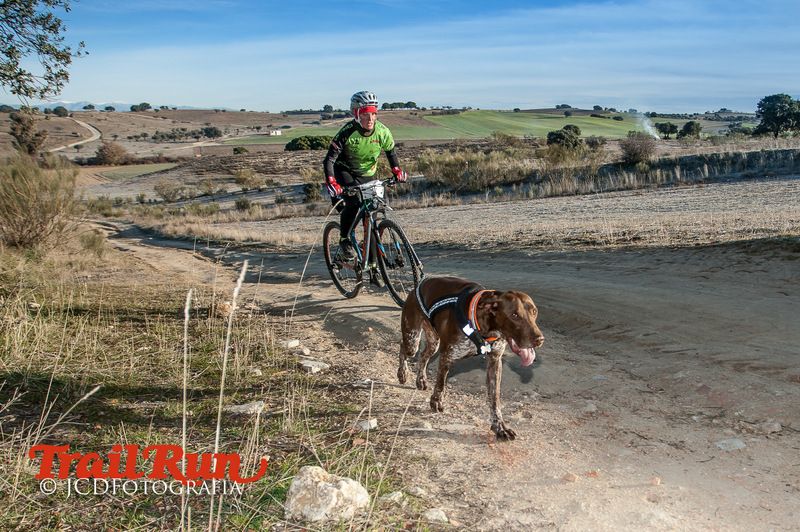 Campeonato de España de Mushing 2017