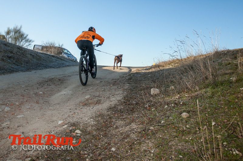 Campeonato de España de Mushing 2017