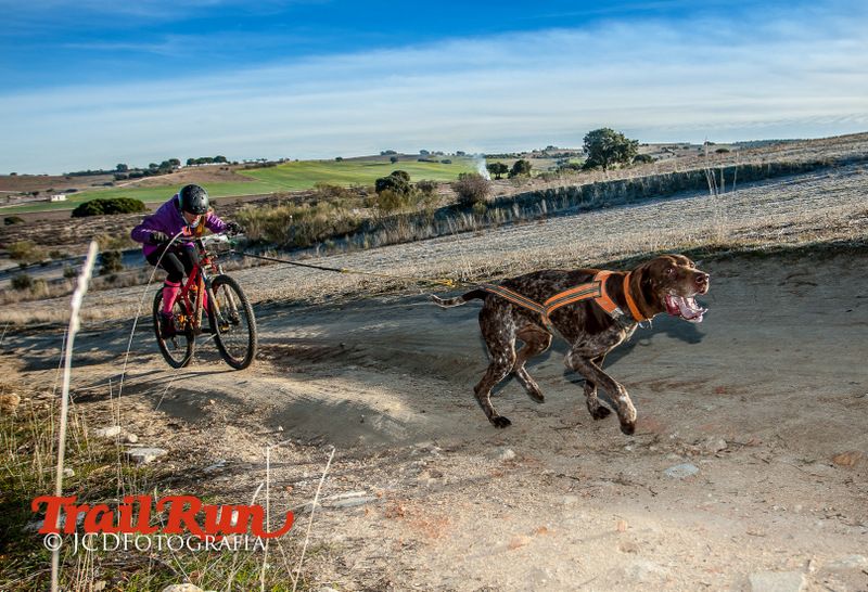 Campeonato de España de Mushing 2017