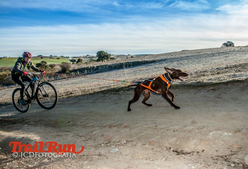 Campeonato de España de Mushing 2017