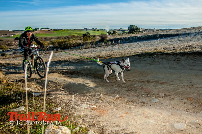 Campeonato de España de Mushing 2017