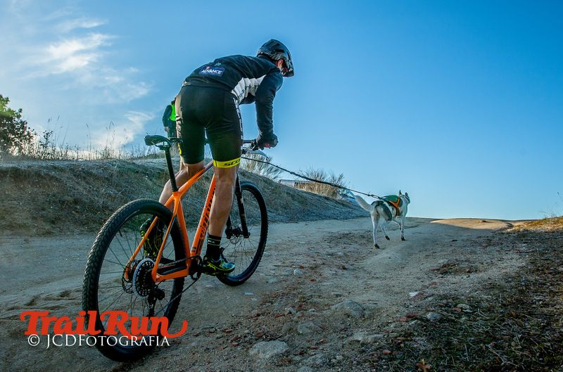 Campeonato de España de Mushing 2017