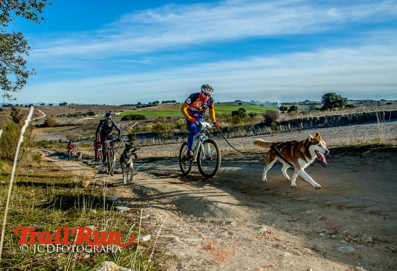 Campeonato de España de Mushing 2017