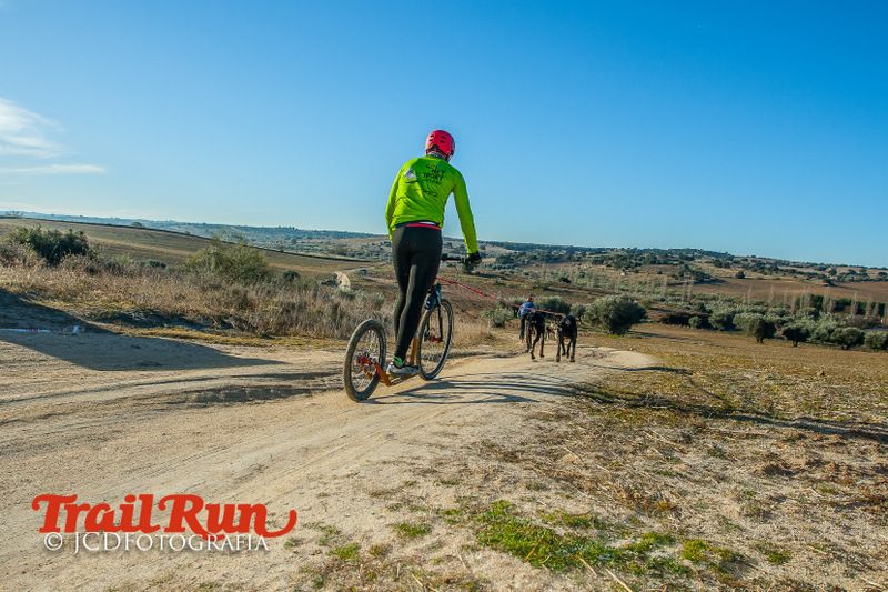 Campeonato de España de Mushing 2017