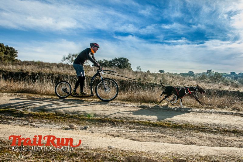 Campeonato de España de Mushing 2017