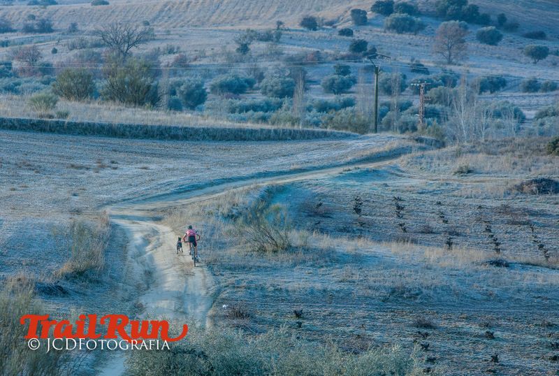 Campeonato de España de Mushing 2017