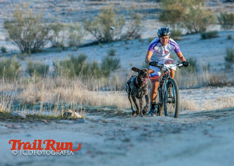 Campeonato de España de Mushing 2017