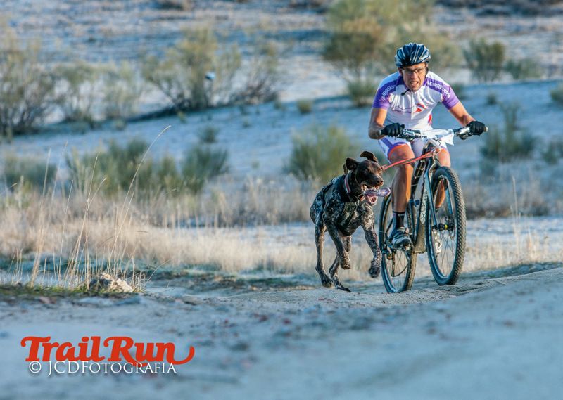 Campeonato de España de Mushing 2017
