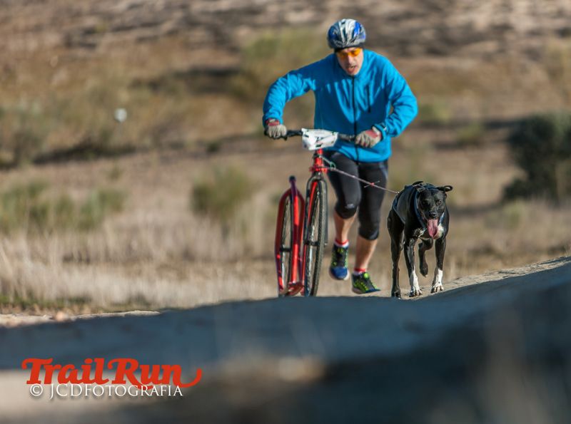 Campeonato de España de Mushing 2017