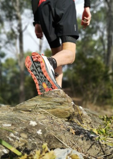 Altra Olympus 4